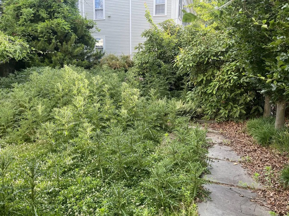 Local lawn care service experts serving Fall River, MA - Coastal Landscape & Construction