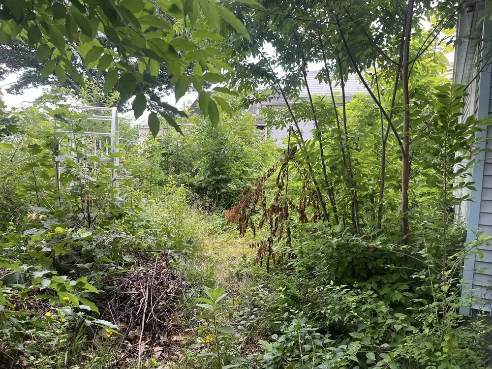 Affordable landscape installation experts serving Fall River, MA - Coastal Landscape & Construction