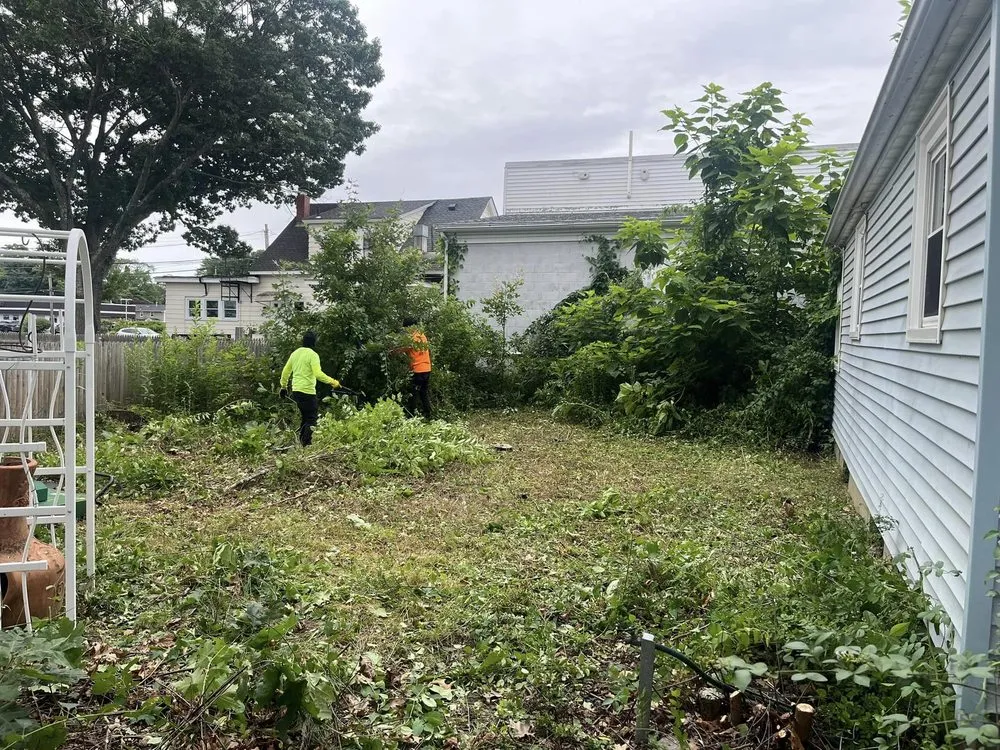 Affordable lawn care service in Fall River, MA by Coastal Landscape & Construction