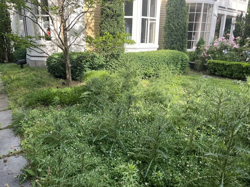 Custom yard cleanup service in Fall River, MA - Coastal Landscape & Construction