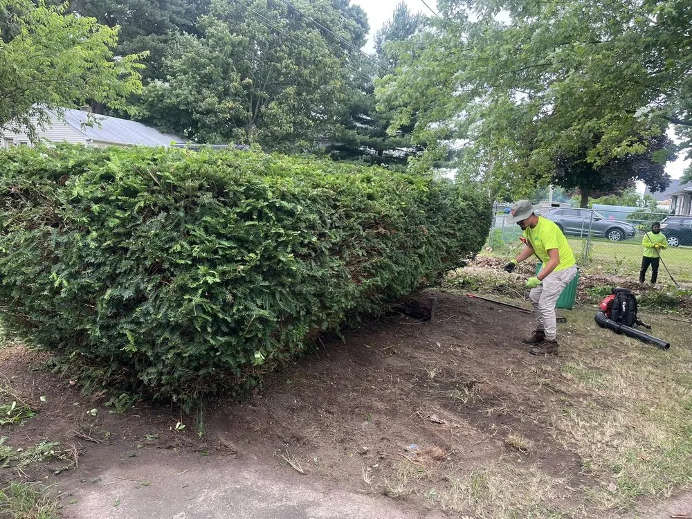 Affordable landscape installation for homes in Fall River, MA by Coastal Landscape & Construction