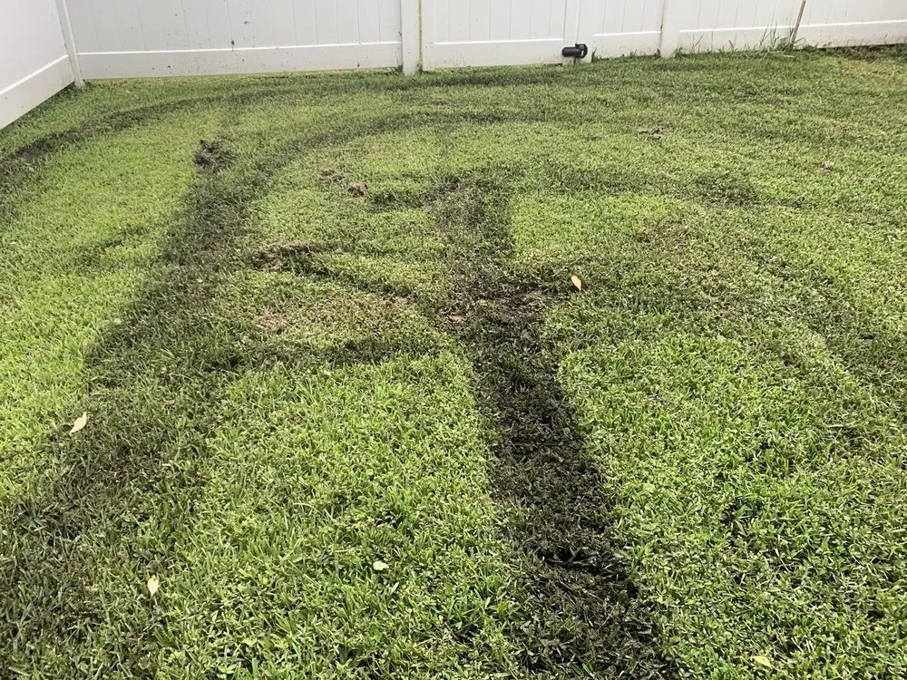 Local yard cleanup service for outdoor upgrades across Brunswick, GA - Coastal Landscape & Design