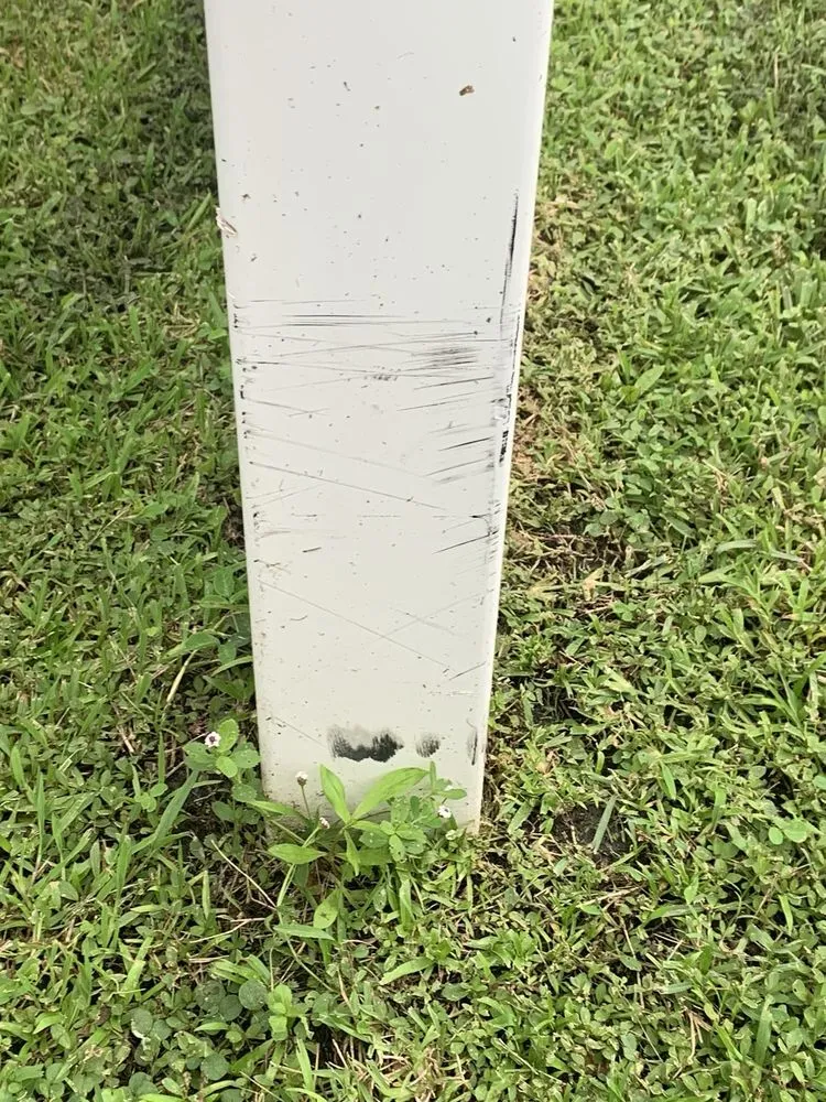 Expert yard maintenance in Brunswick, GA by Coastal Landscape & Design