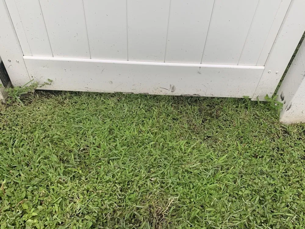 Local residential landscaping for outdoor upgrades across Brunswick, GA - Coastal Landscape & Design