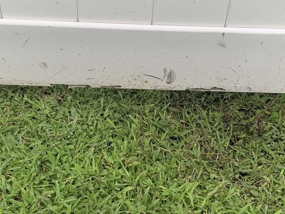 Local yard maintenance experts serving Brunswick, GA - Coastal Landscape & Design