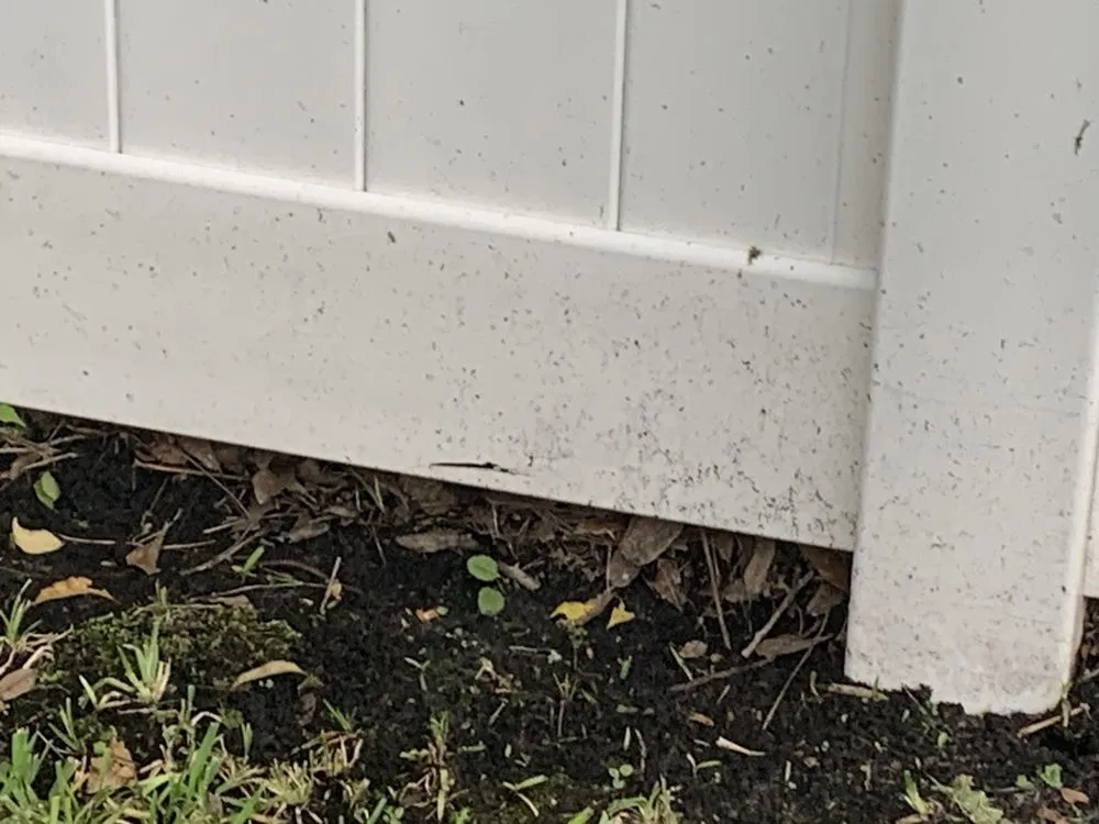 Reliable lawn mowing service for homes in Brunswick, GA by Coastal Landscape & Design