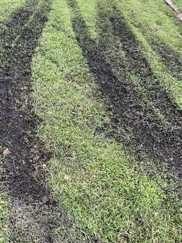 Custom outdoor landscaping for homes in Brunswick, GA by Coastal Landscape & Design