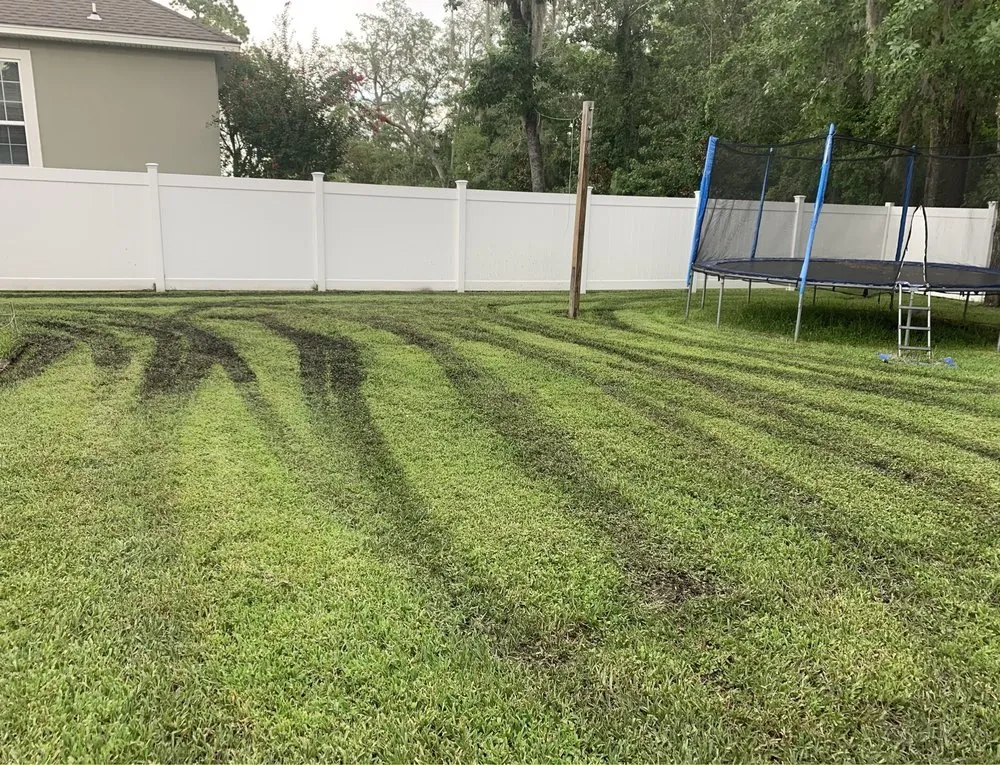 Trusted lawn mowing service experts serving Brunswick, GA - Coastal Landscape & Design