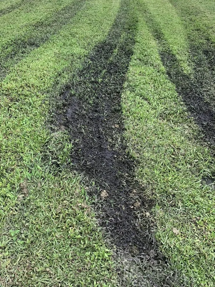 Custom yard maintenance in Brunswick, GA - Coastal Landscape & Design