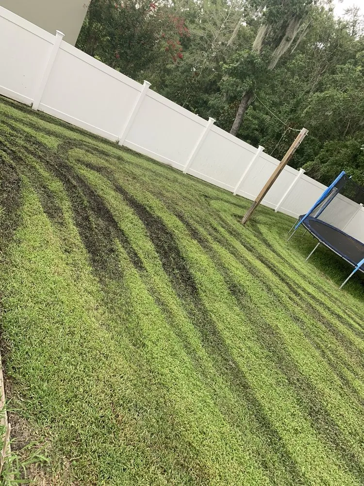 Affordable landscaping services with custom design in Brunswick, GA by Coastal Landscape & Design