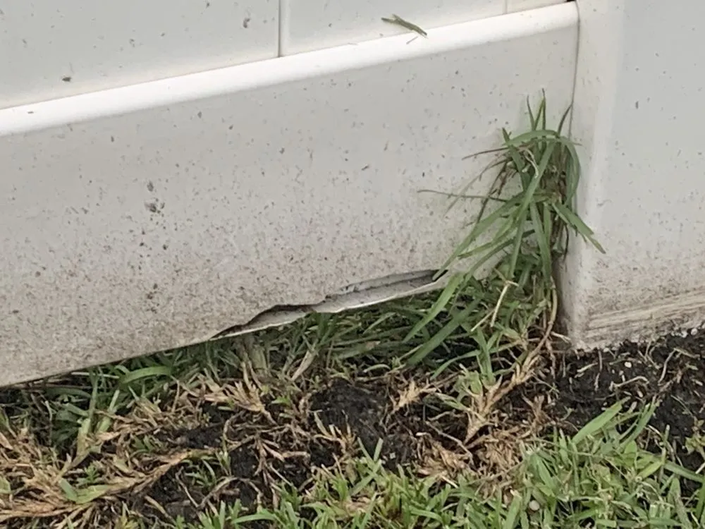 Professional yard cleanup service experts serving Brunswick, GA - Coastal Landscape & Design