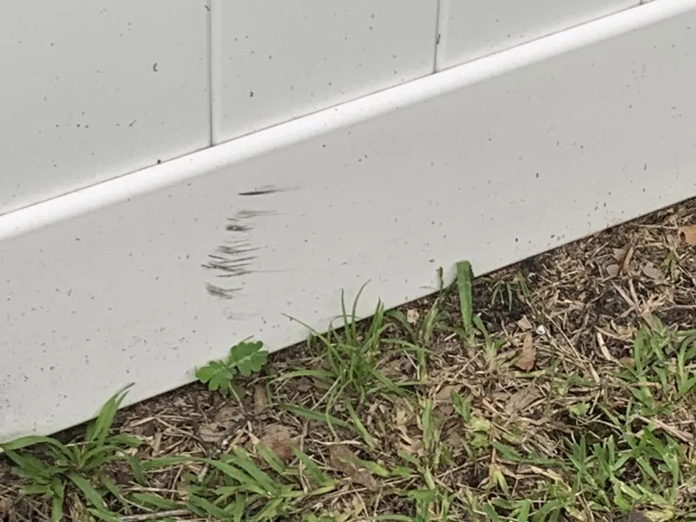 Expert landscaping services for homes across Brunswick, GA - Coastal Landscape & Design