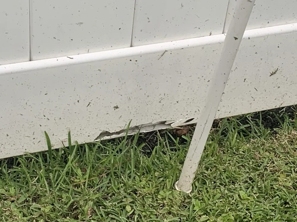 Affordable landscape design near you across Brunswick, GA - Coastal Landscape & Design