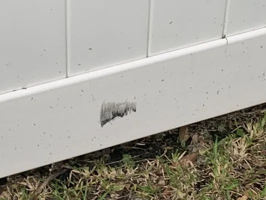 Coastal Landscape & Design Logo