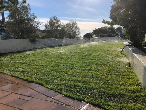 Local yard cleanup service in Escondido, CA by Coastal Landscape