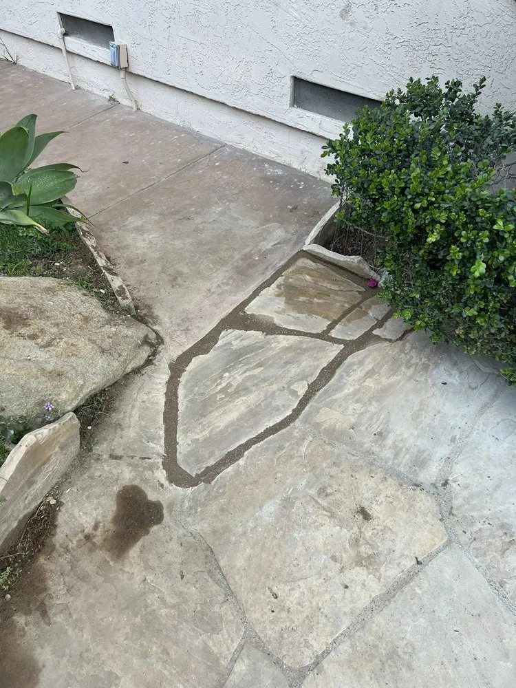 Professional yard maintenance experts serving Escondido, CA - Coastal Landscape