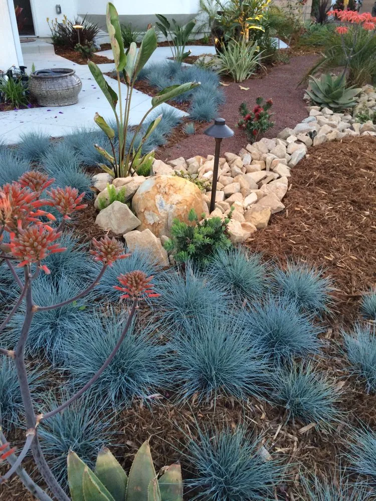 Professional residential landscaping in Huntington Beach, CA by Coastal Landscape