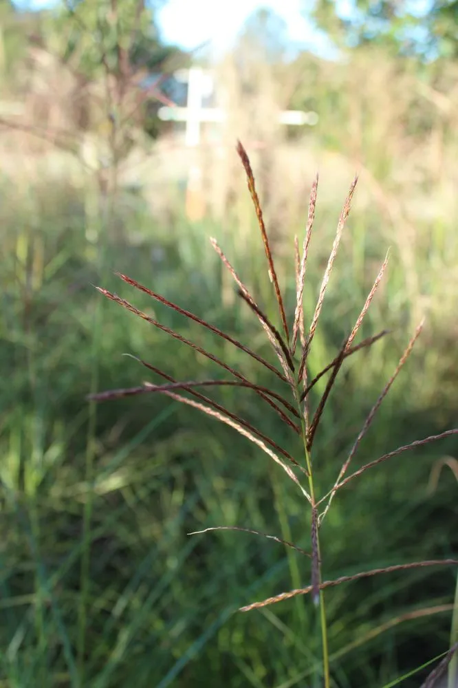 Custom lawn mowing service experts serving Virginia Beach, VA - Coastal Landscapes and Nursery