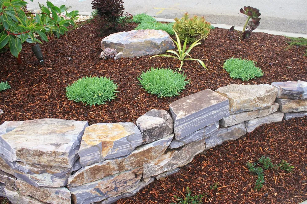 Affordable landscape design for homes in Cayucos, CA by Coastal Landscapes