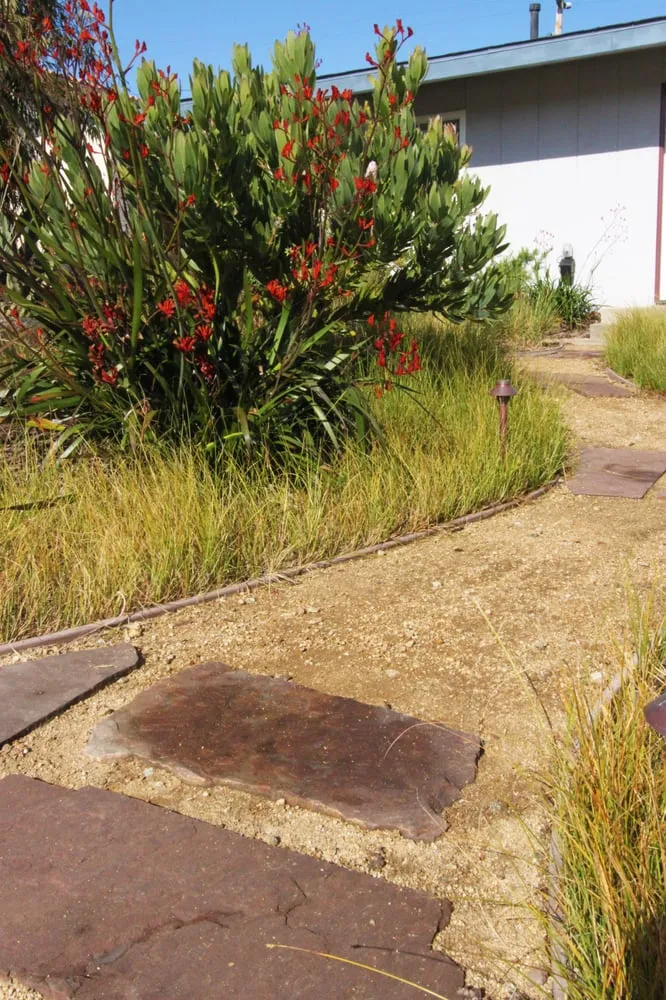 Local lawn mowing service in Cayucos, CA by Coastal Landscapes