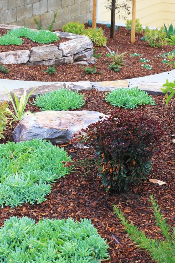 Expert outdoor landscaping for residential properties in Cayucos, CA by Coastal Landscapes