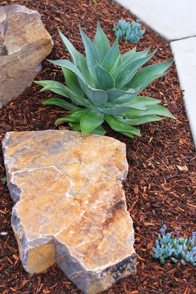 Trusted yard cleanup service in Cayucos, CA by Coastal Landscapes