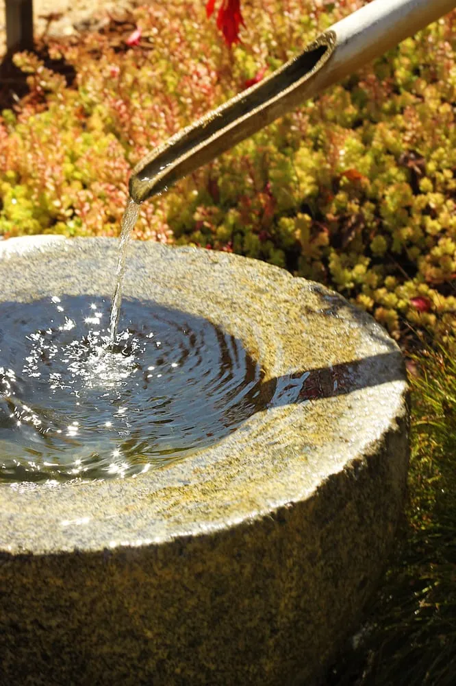 Expert lawn care service for year-round maintenance across Cayucos, CA - Coastal Landscapes