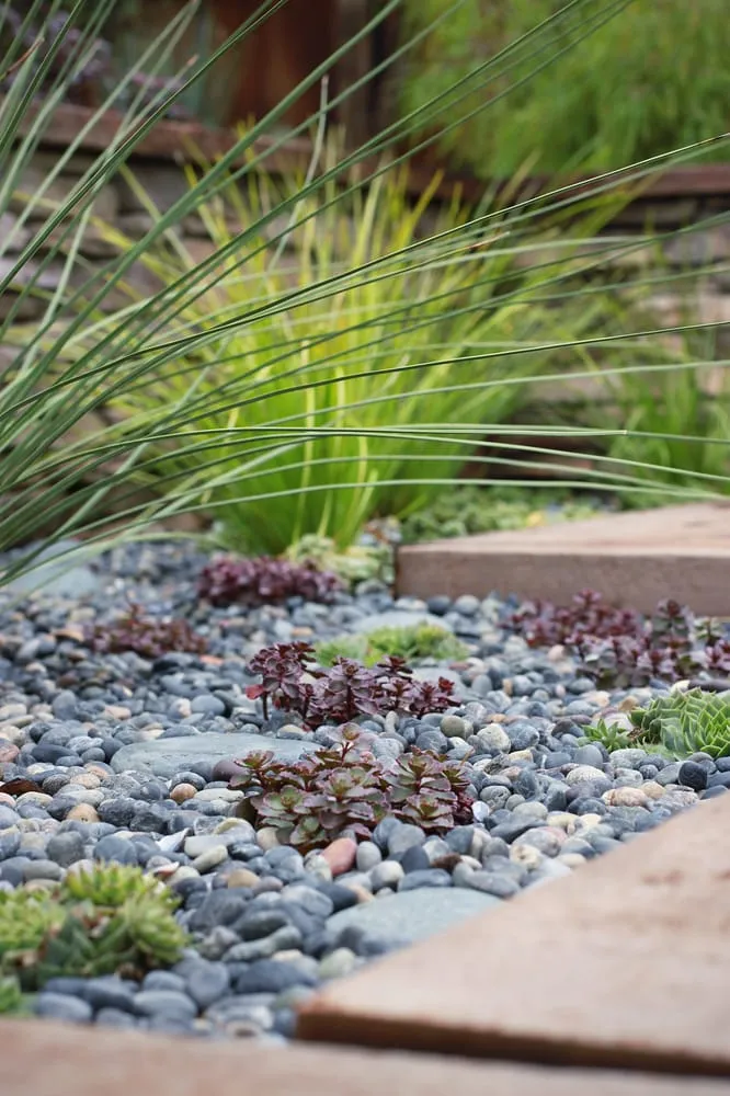 Top-rated lawn mowing service in Cayucos, CA - Coastal Landscapes