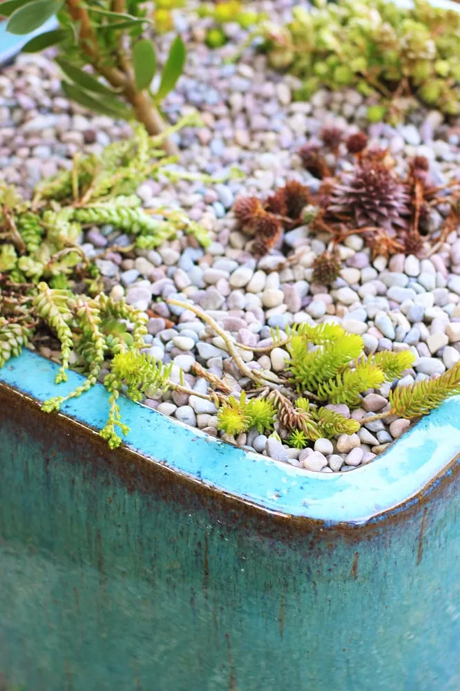 Top-rated outdoor landscaping for residential properties in Cayucos, CA by Coastal Landscapes