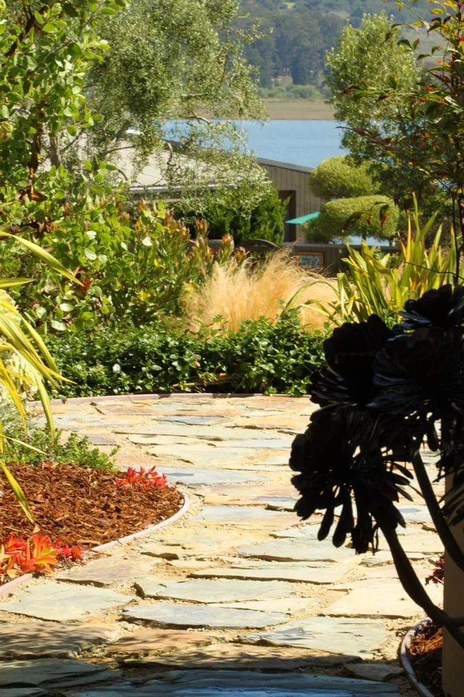 Trusted yard cleanup service for beautiful yards across Cayucos, CA - Coastal Landscapes