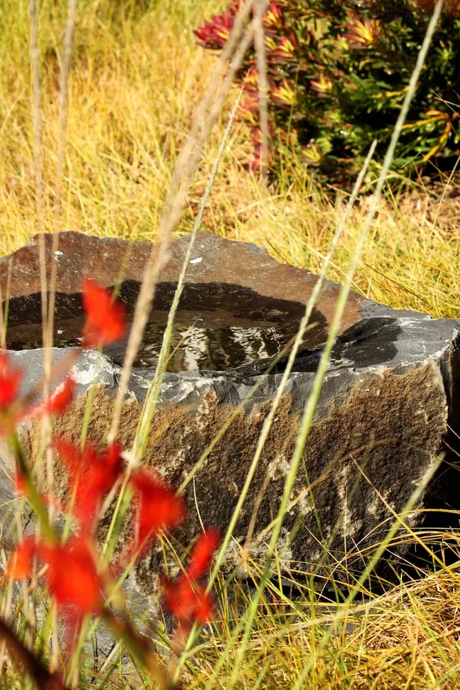 Custom yard cleanup service for beautiful yards across Cayucos, CA - Coastal Landscapes