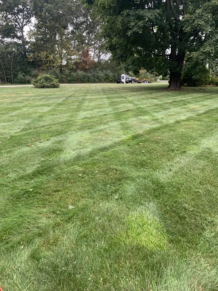 Reliable yard cleanup service in North Stonington, CT - Coastal Landscapes