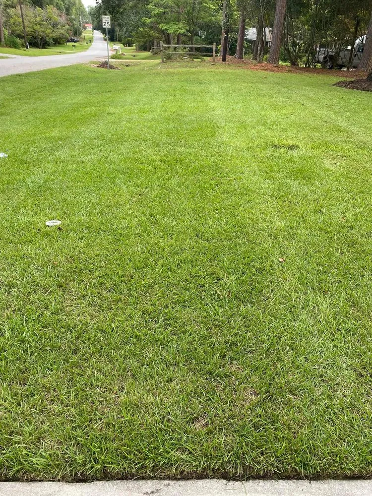Affordable lawn care service in Statesboro, GA by Coastal Landscapes