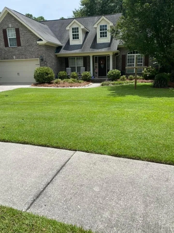 Top-rated yard cleanup service in Statesboro, GA - Coastal Landscapes