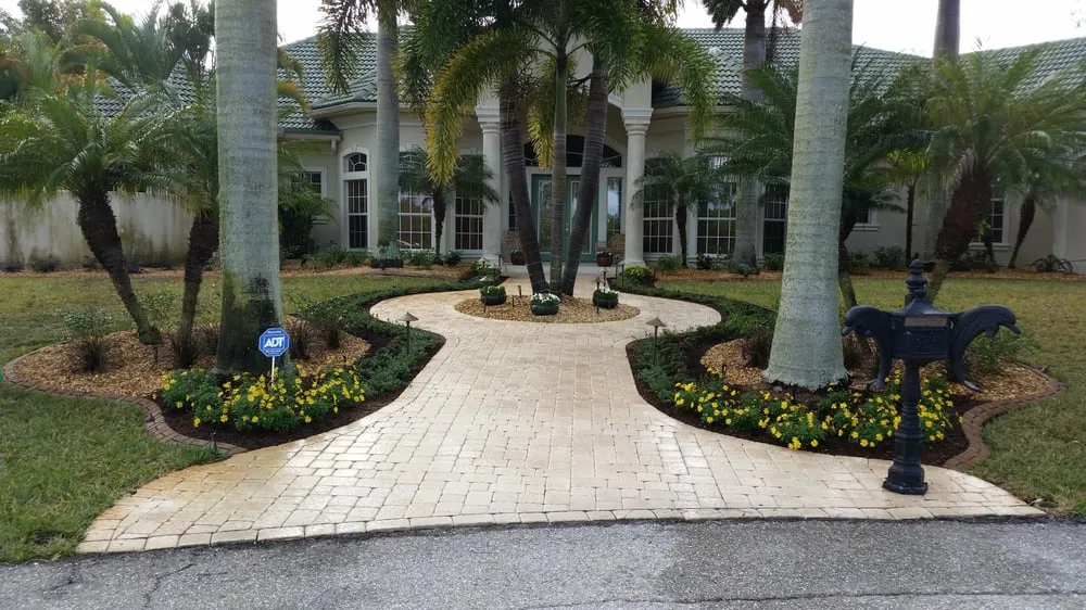 Top-rated yard cleanup service in Tampa, FL - Coastal Landscapes