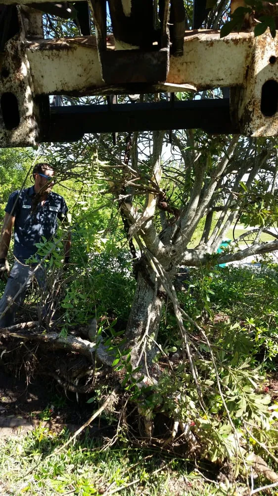 Affordable lawn care service with custom design in Tampa, FL by Coastal Landscapes