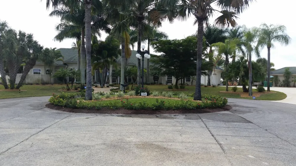 Expert yard cleanup service for beautiful yards across Tampa, FL - Coastal Landscapes