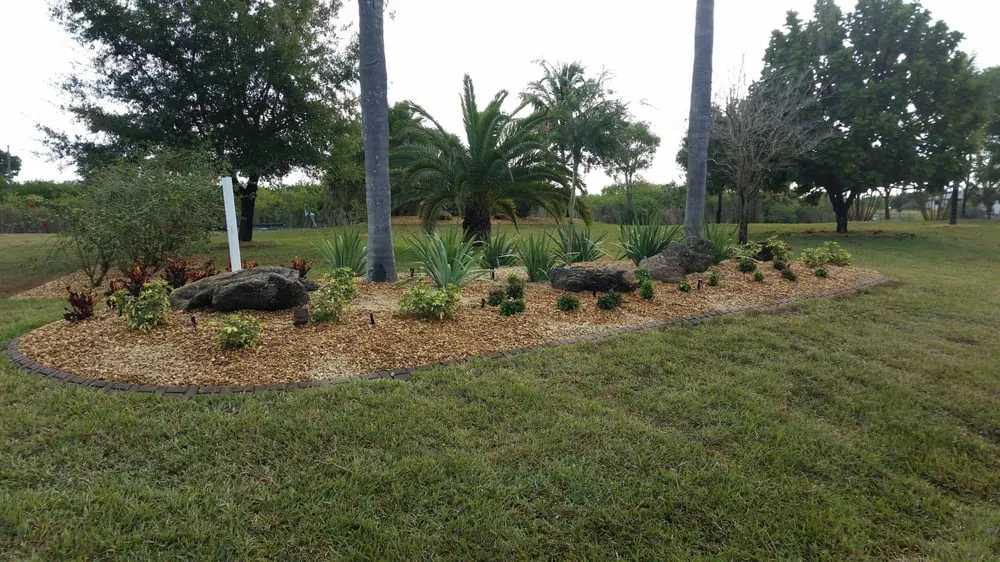 Custom yard maintenance in Tampa, FL - Coastal Landscapes