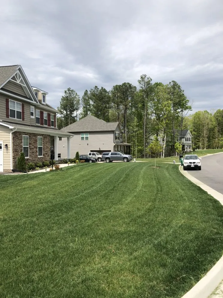 Reliable yard cleanup service with custom design in West Point, VA by Coastal Landscaping and Services