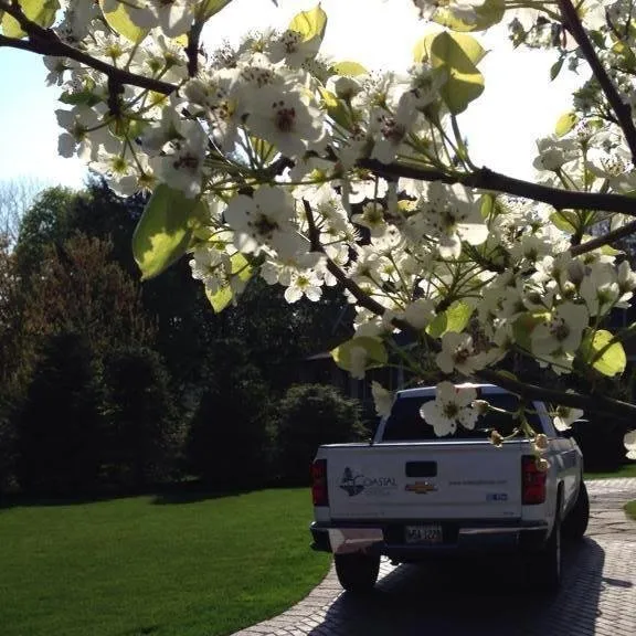 Expert lawn care service in Cumberland, ME - Coastal Landscaping