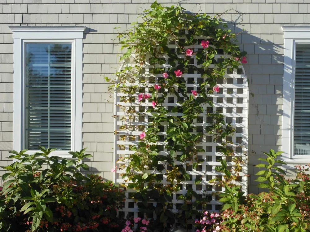 Local residential landscaping for year-round maintenance in Rio Grande, NJ by Coastal Landscaping