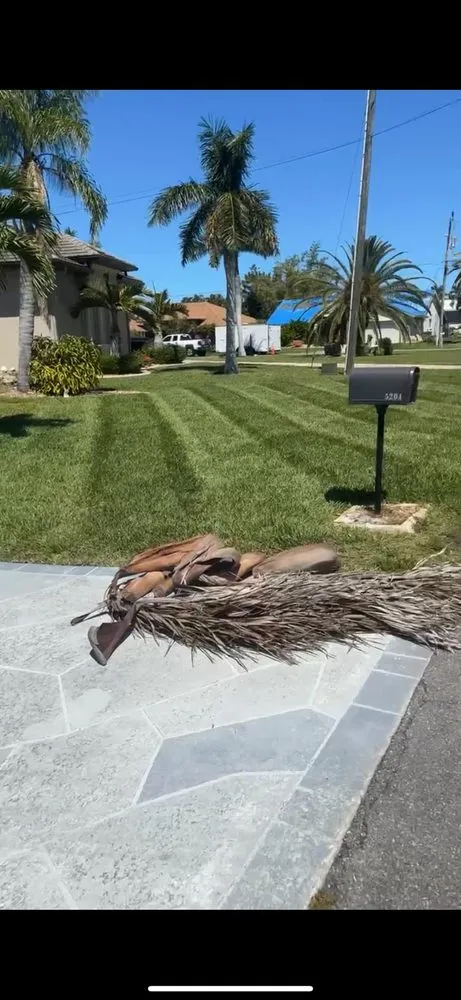 Affordable landscaping services for homes in Cape Coral, FL by Coastal Landscaping SWFL