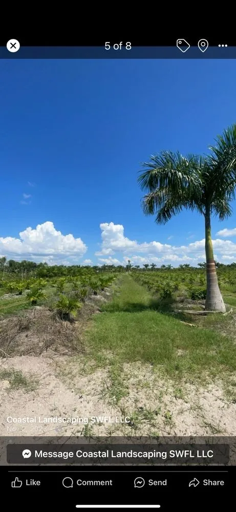 Trusted lawn mowing service in Cape Coral, FL by Coastal Landscaping SWFL