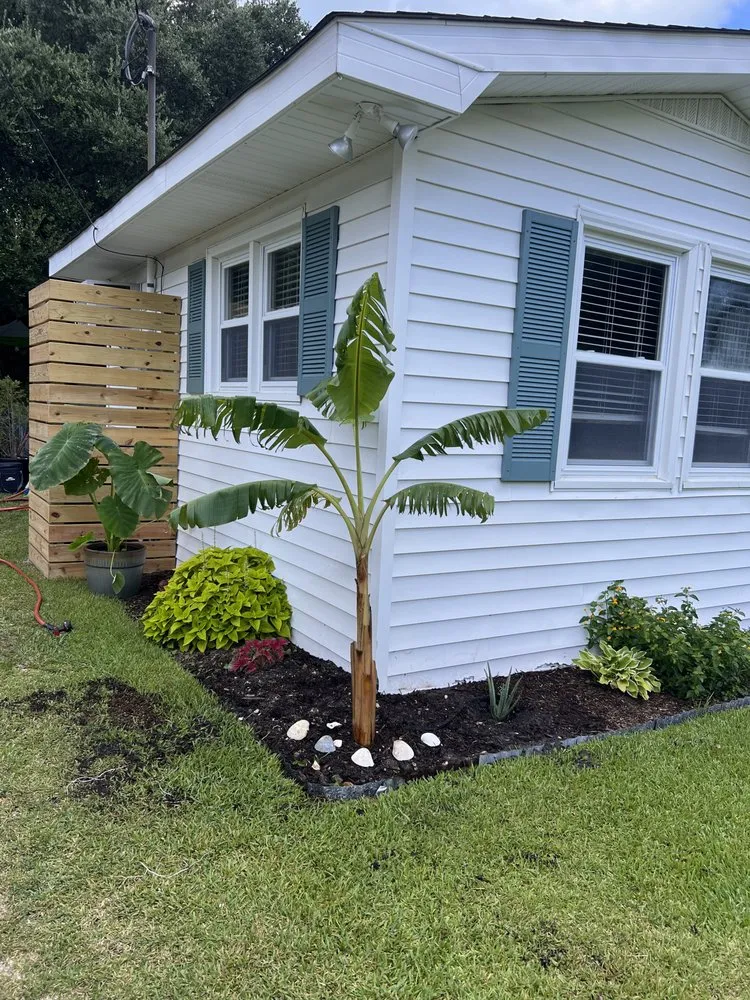 Expert lawn care service for outdoor upgrades across Wilmington, NC - Coastal Lawn & Garden