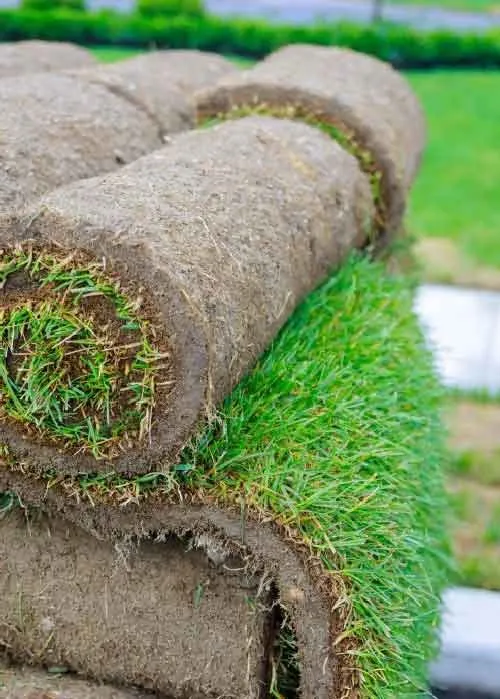 Affordable landscaping services in Panama City, FL - Coastal Lawn & Irrigation