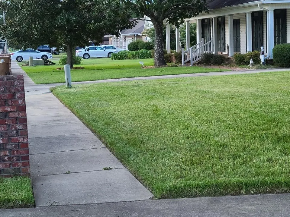 Top-rated outdoor landscaping for outdoor upgrades in Biloxi, MS by Coastal Lawn and Garden