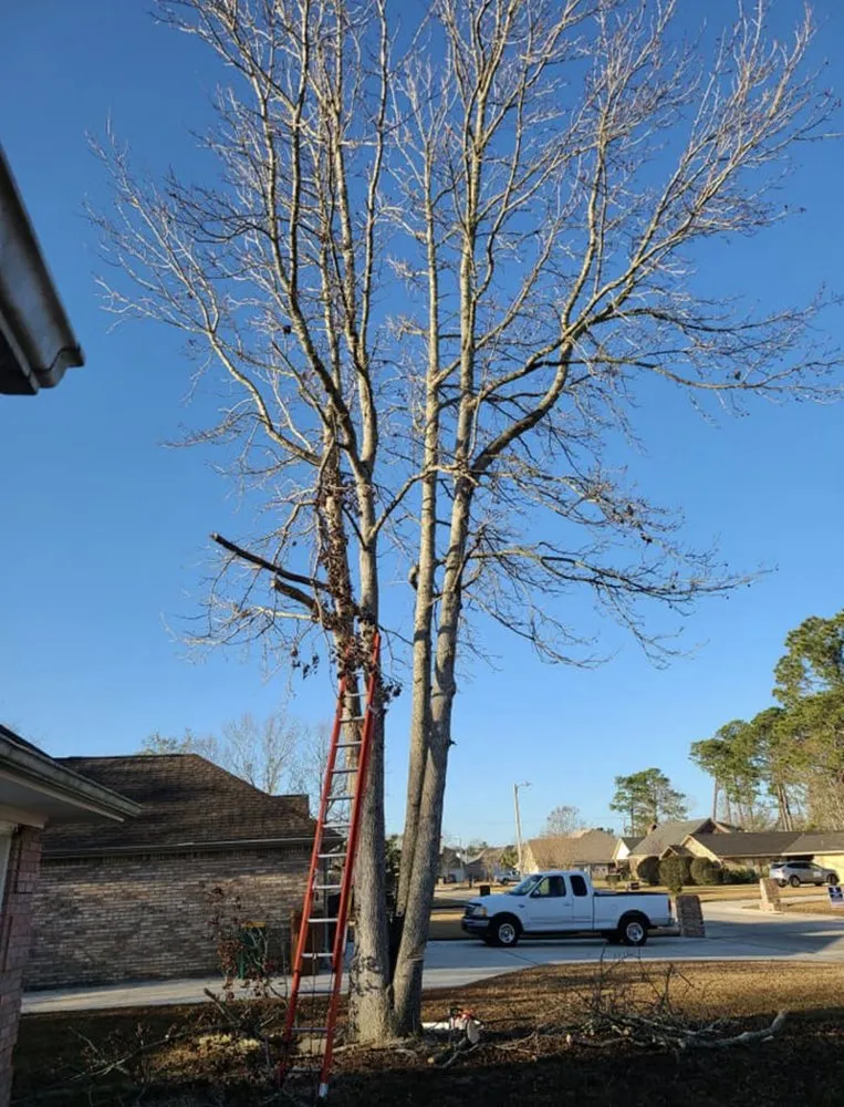 Affordable yard cleanup service with custom design in Biloxi, MS by Coastal Lawn and Garden