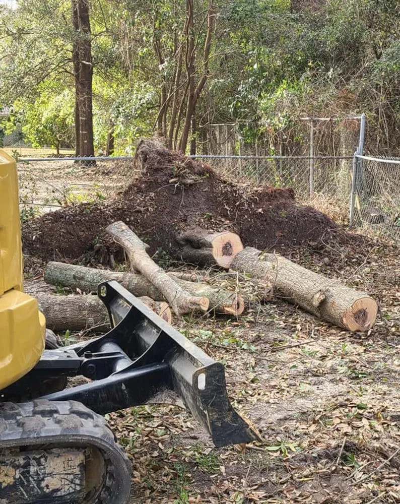 Affordable landscape installation with custom design across Biloxi, MS - Coastal Lawn and Garden