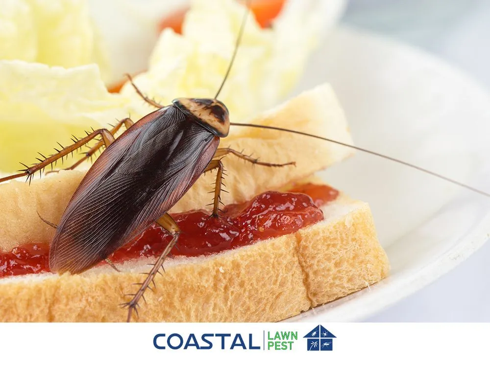 Local yard cleanup service in Lehigh Acres, FL by Coastal Lawn And Pest