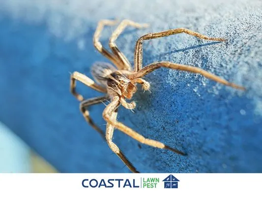 Coastal Lawn And Pest Logo